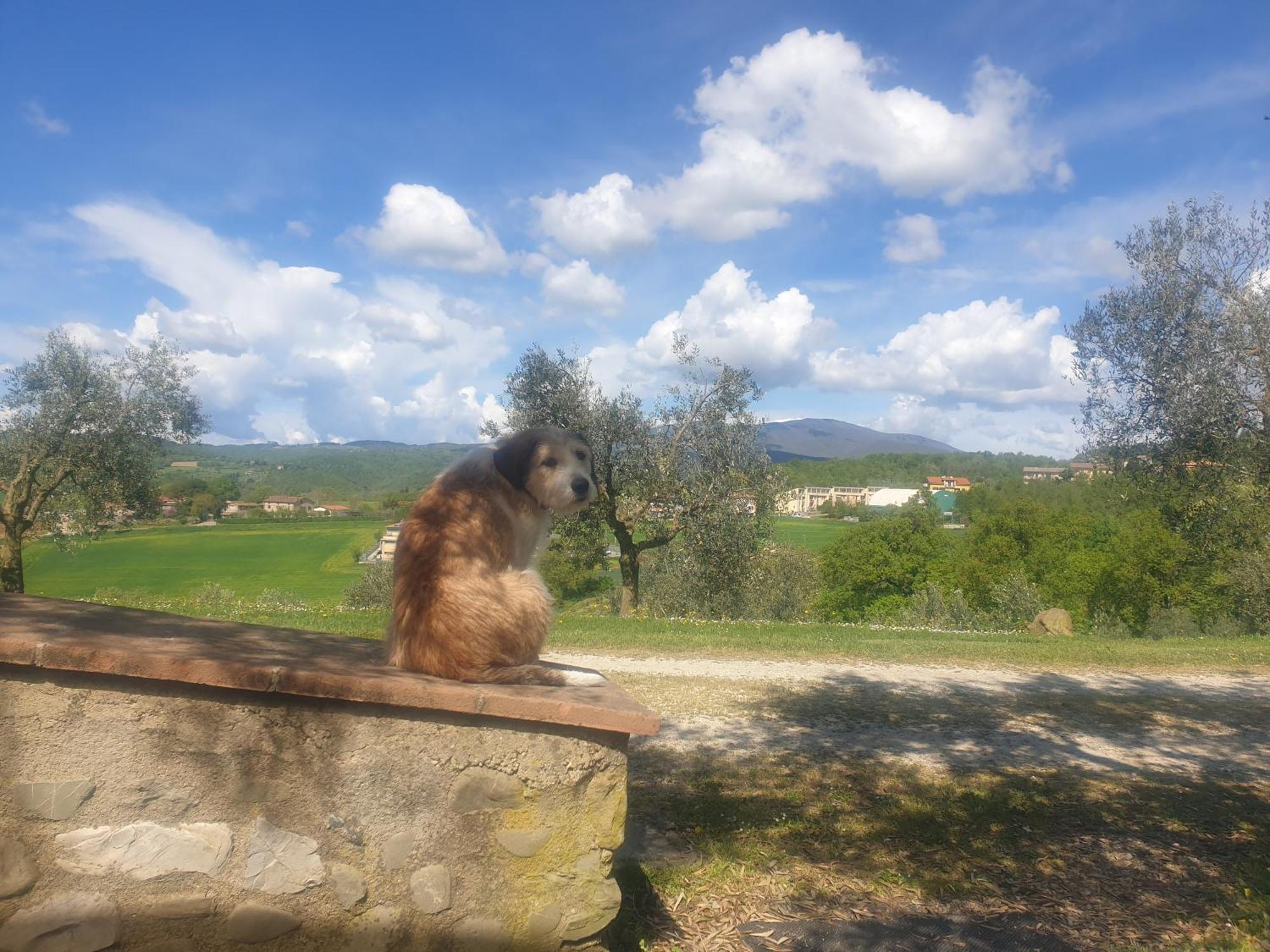 אניירי Agriturismo Val Della Pieve מראה חיצוני תמונה
