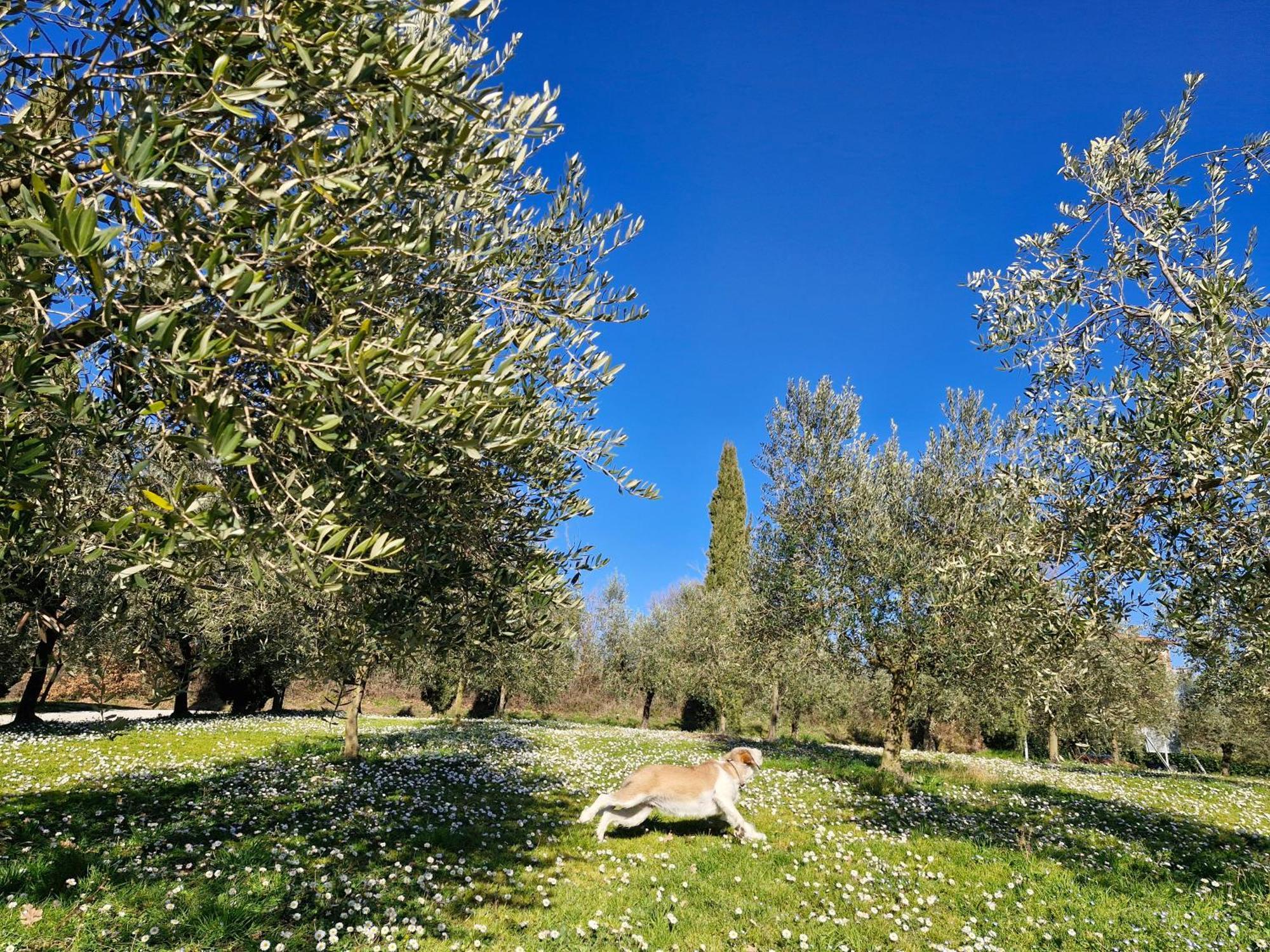 אניירי Agriturismo Val Della Pieve מראה חיצוני תמונה