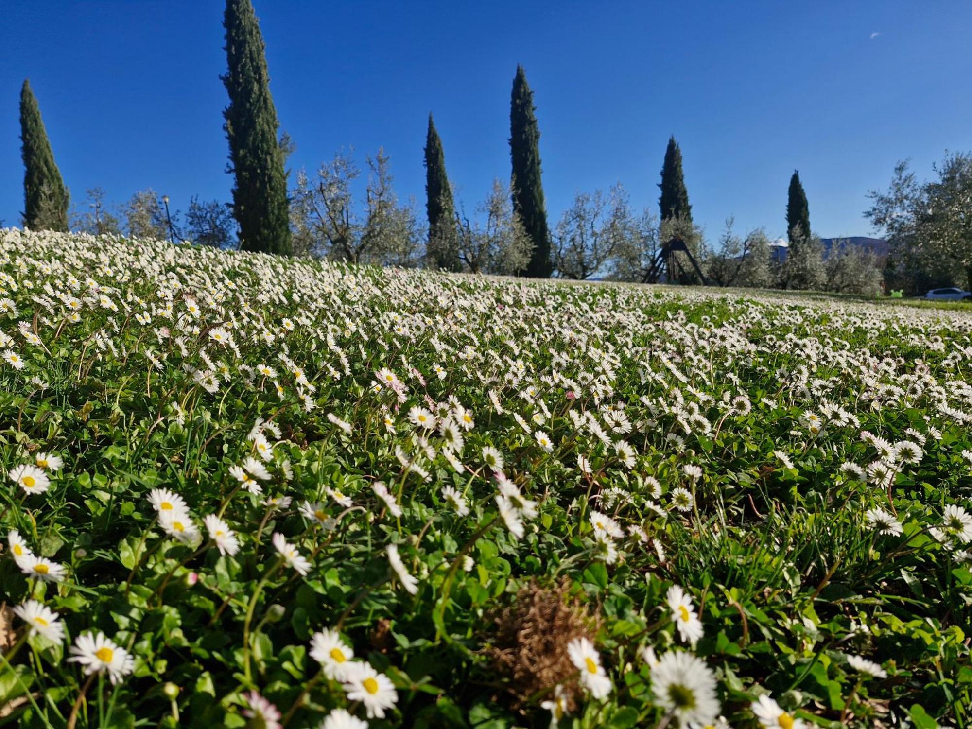 אניירי Agriturismo Val Della Pieve מראה חיצוני תמונה