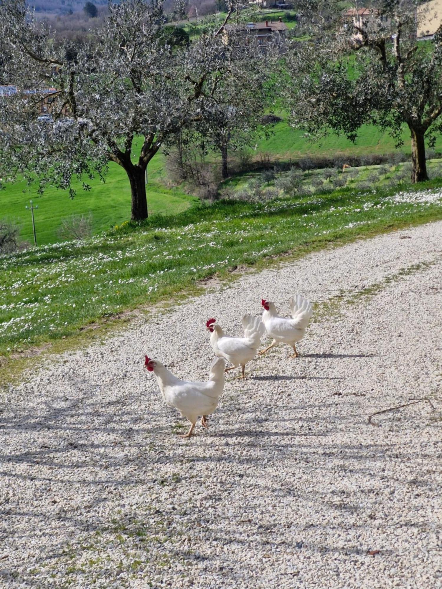 אניירי Agriturismo Val Della Pieve מראה חיצוני תמונה