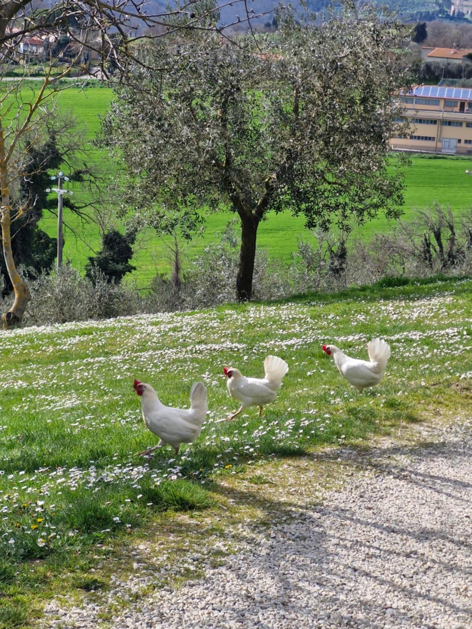 אניירי Agriturismo Val Della Pieve מראה חיצוני תמונה